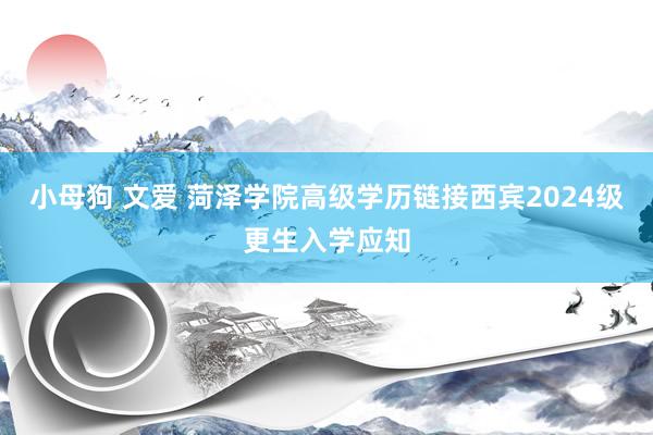 小母狗 文爱 菏泽学院高级学历链接西宾2024级更生入学应知